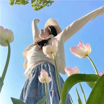 伊尼舍林的女妖