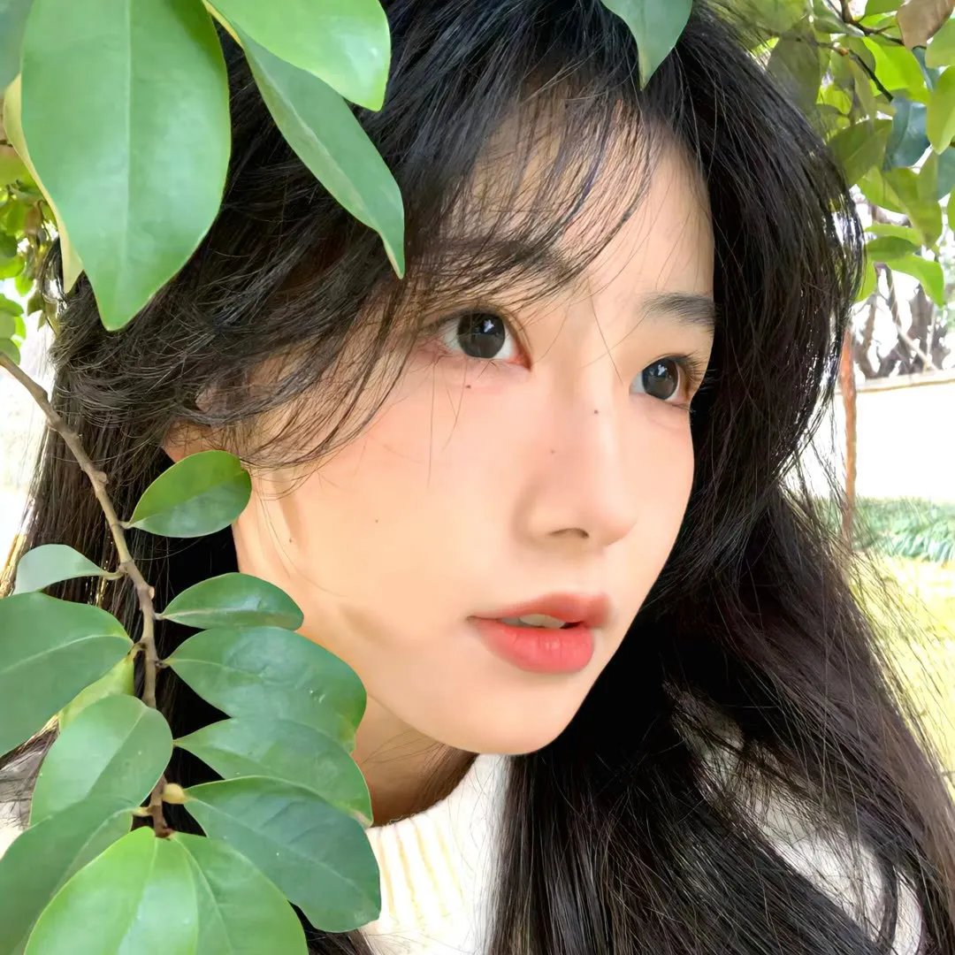 井盖儿