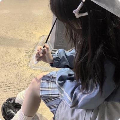 杜宾巡官:布列塔尼的秘密